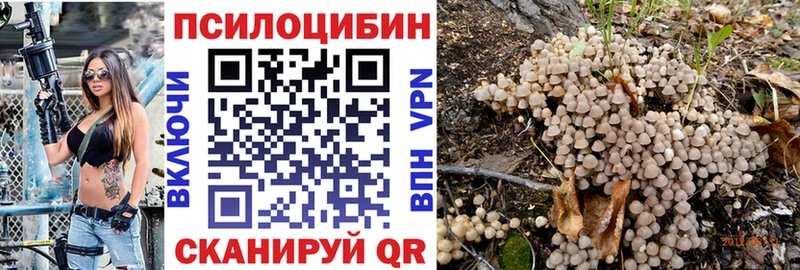 Галлюциногенные грибы Magic Shrooms  Купить где  Опочка 
